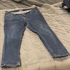 Torrid boyfriend straight vintage stretch Blue Jeans size 16r